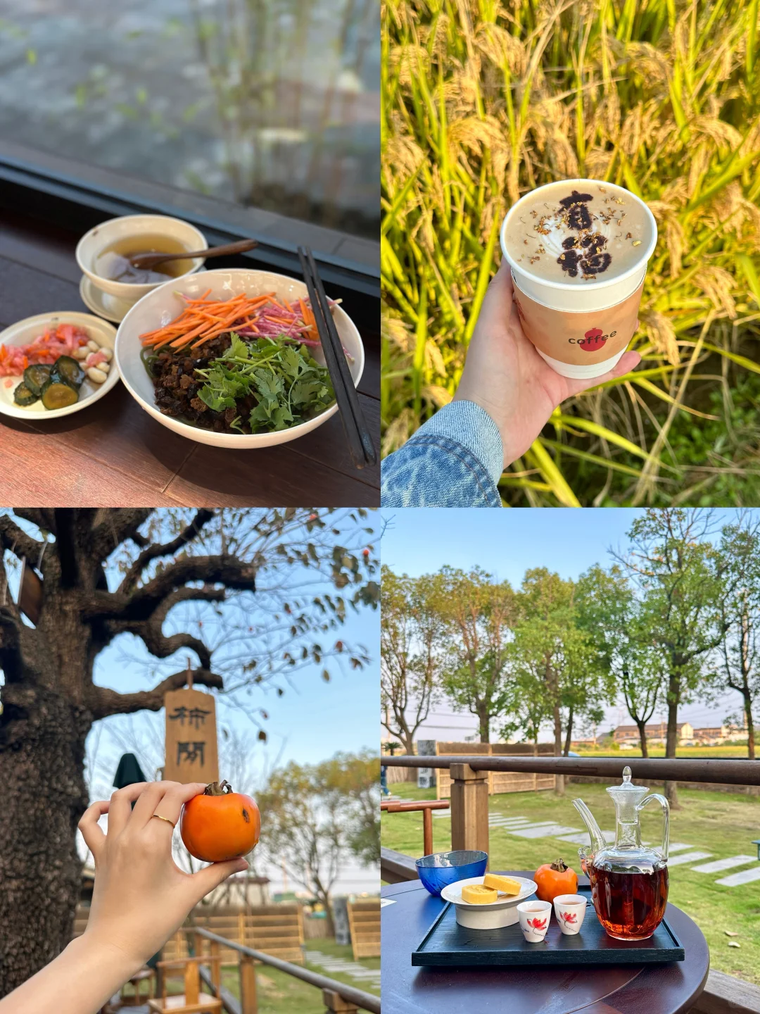 放空一下午😉西林禅寺真的好好待！