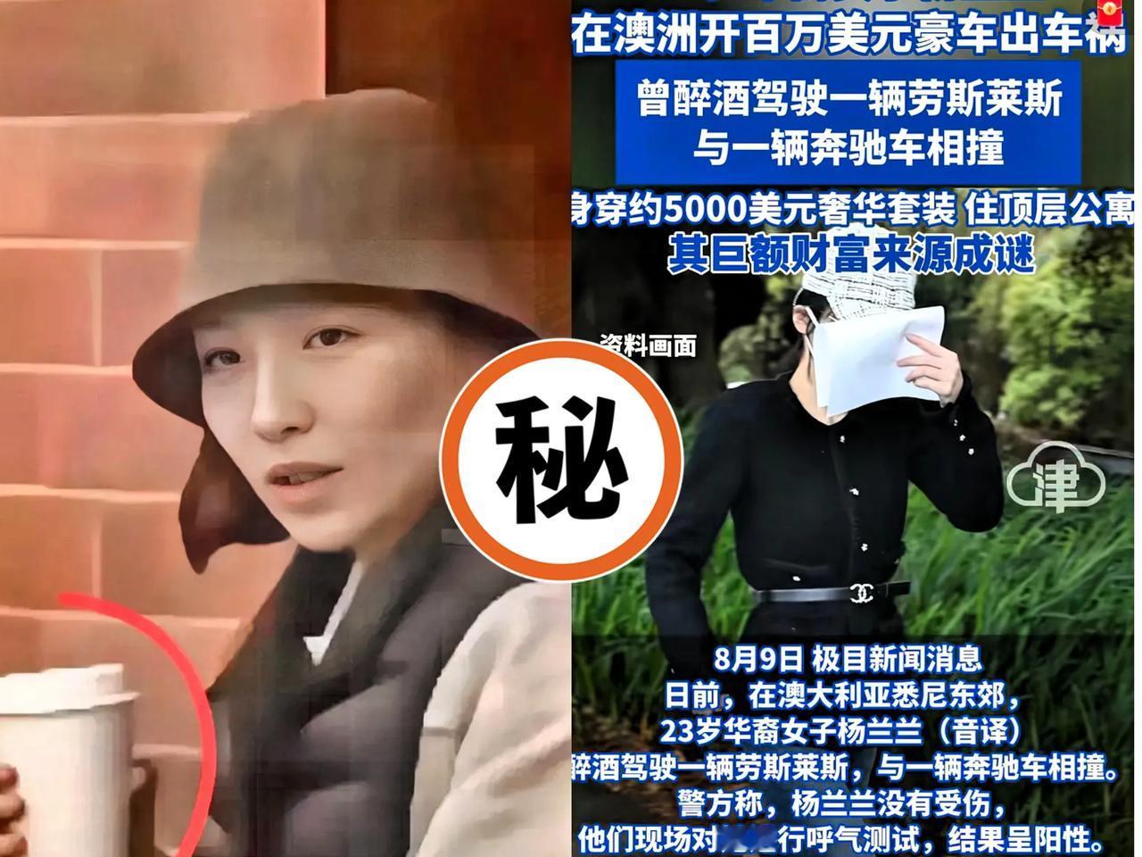 杨兰兰家并没有传言中的上万亿资产，实际资产在上百亿范围内是可信的。
​
​定制劳