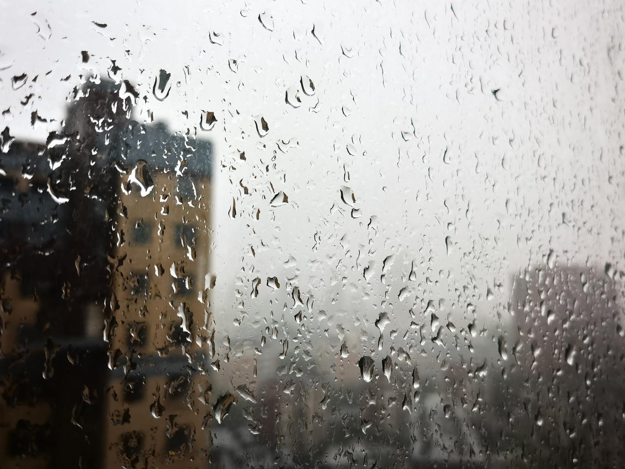 “巴威”来了，这座城湿漉漉的。
雨，在低垂的云里，绵绵密密的落下来，幕天席地酣畅