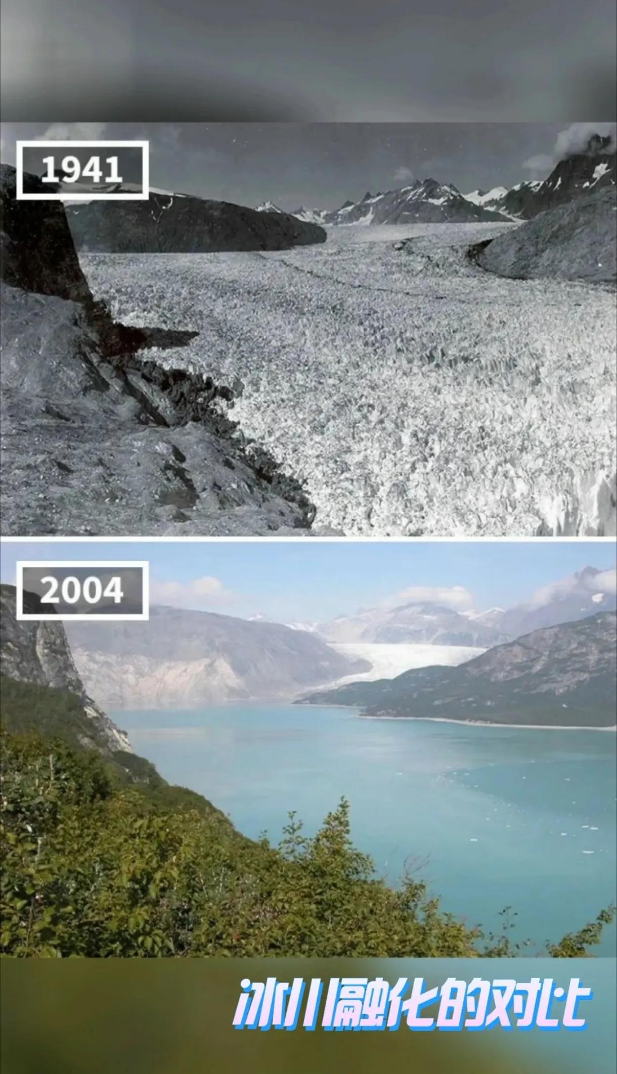 100年前全球才20亿人，现在早已突破80亿。咱们能养活这么多人，靠的是工业化和