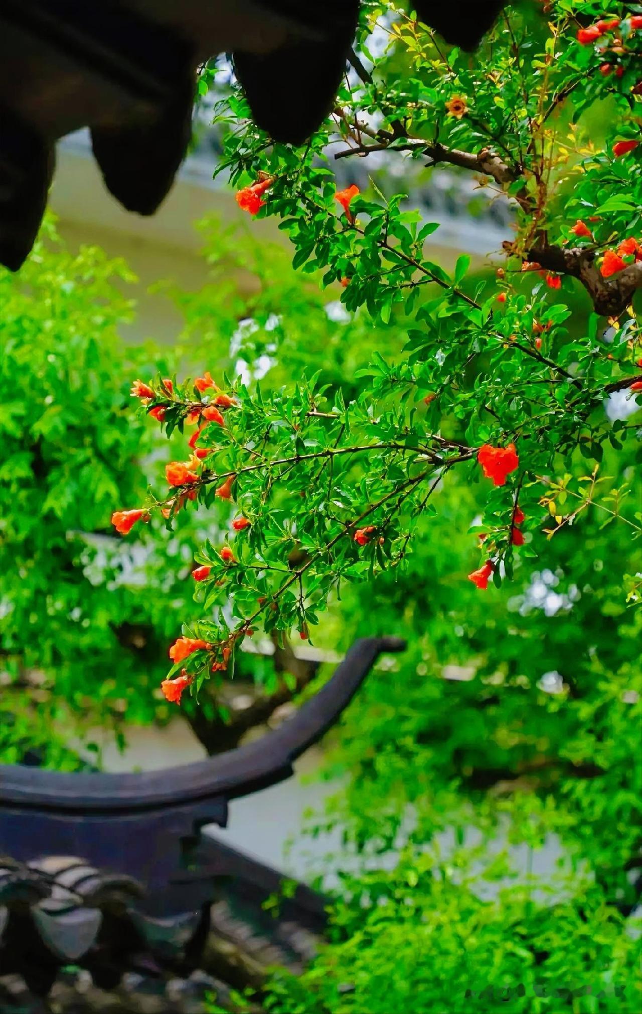 下联：檐角榴花照眼明
上联：有请雅士[玫瑰][玫瑰][玫瑰]