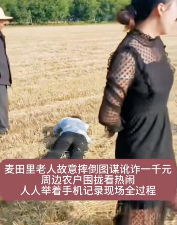 别逮着收割机师傅薅羊毛了！某地，麦子地旁，一老汉猛地躺倒，扯着嗓子喊救命，硬说路