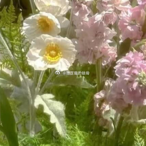 在靳国纲面前不服管教。就连舒云，在他跟前都要老老实实的。“没有。”姜青黎摇头，“