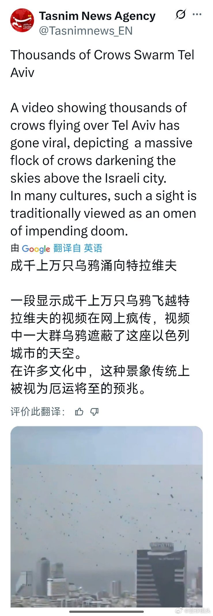 美以伊冲突 成千上万只乌鸦涌向特拉维夫。一段显示成千上万只乌鸦飞越特拉维夫的视频
