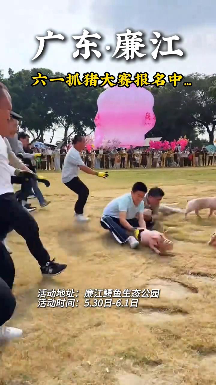 广东·廉江六一抓猪大赛报名中。
活动地址：廉江鳄鱼生态公园。活动时间：5.30日