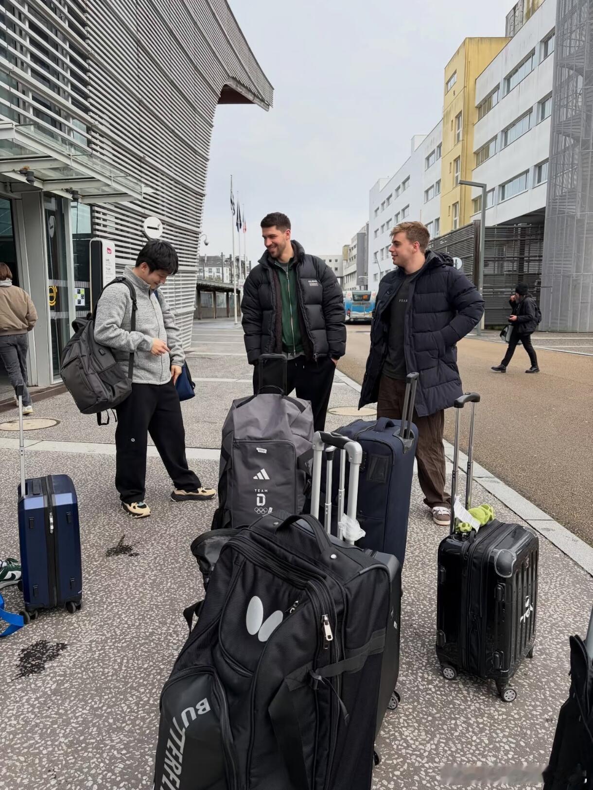 可爱三人组～弗朗西斯卡莫雷加德宠溺的看着可爱的樊振东cr: schnittbud