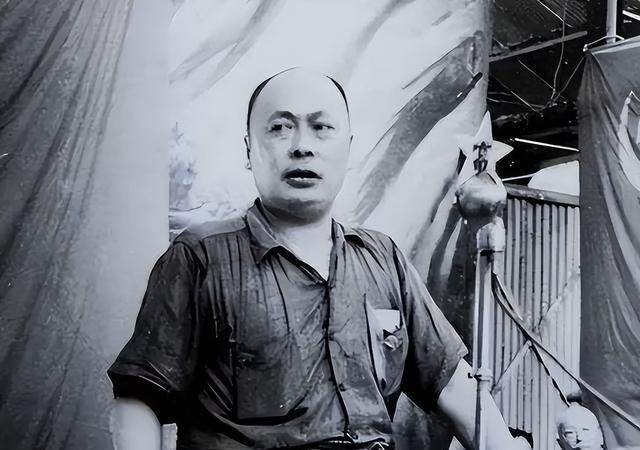 1972年，陈毅临终前嘱托王震：此人曾经要杀我，不要让他受委屈了
谭余保这人，1