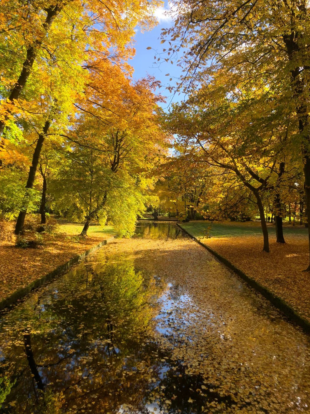 德国公园秋天专属回忆 ​​​