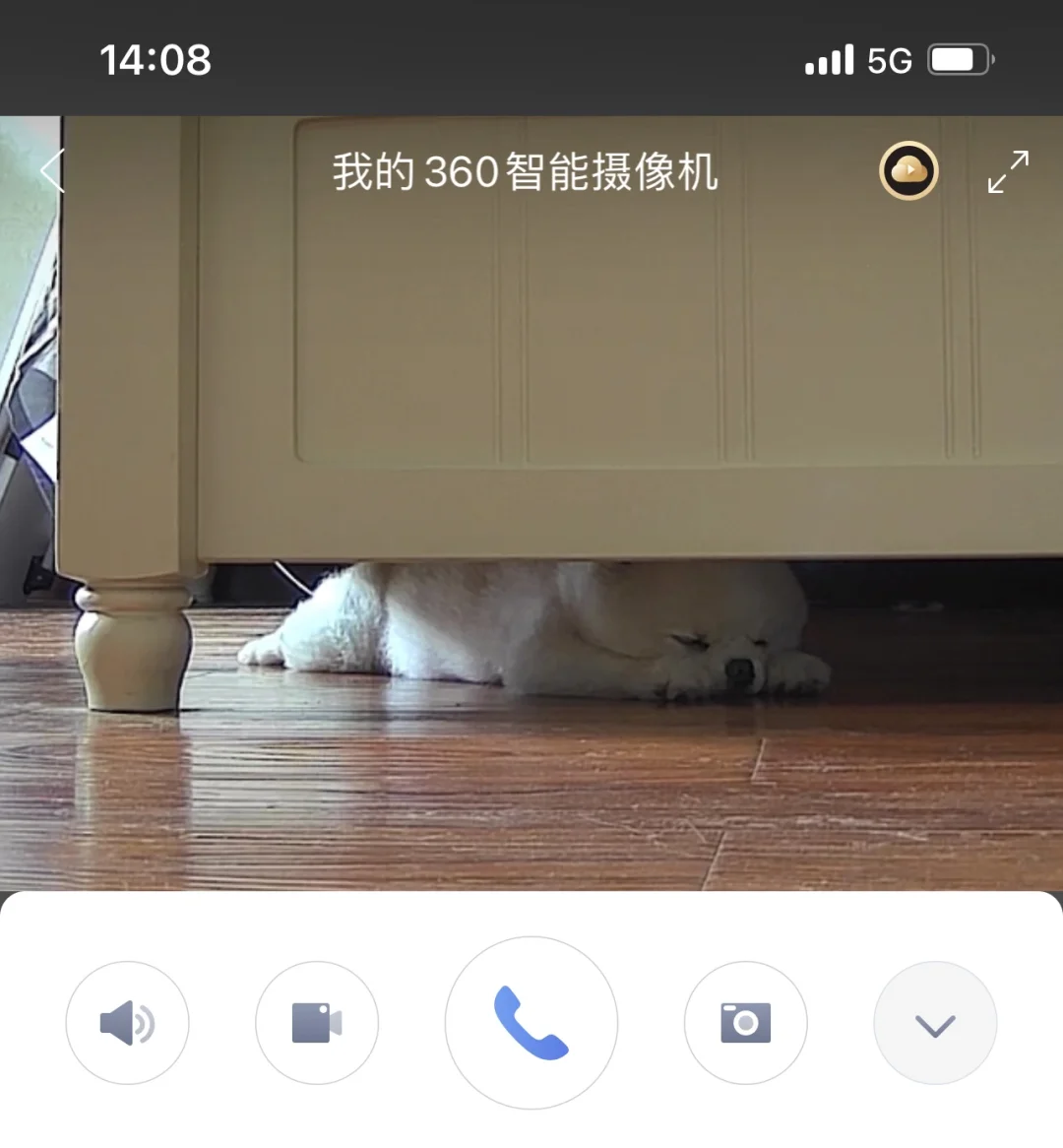 胖宝宝也太可爱了(≧▽≦)
