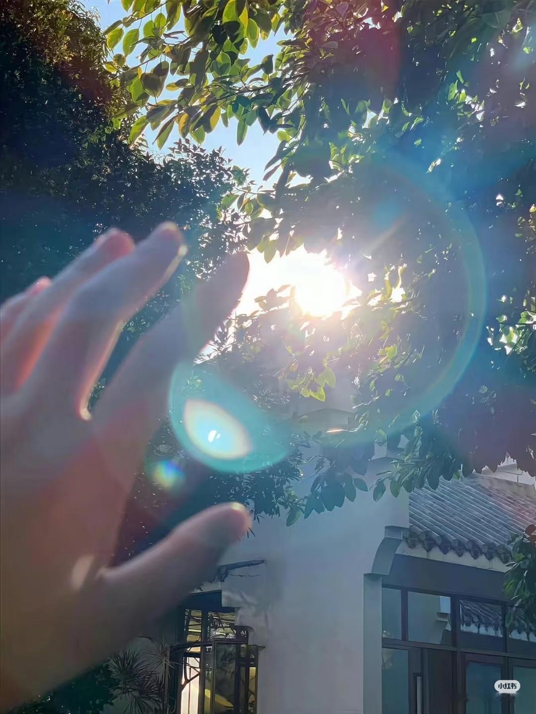 阳光信用 阳光有幸，不负前行。 