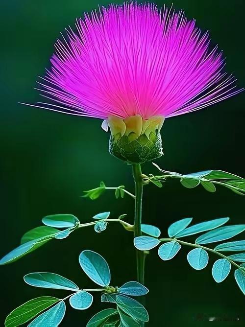 什么是内耗型人格？
1.脸皮薄的人。
2.太较真的人，
3.没主见太纠结的人，