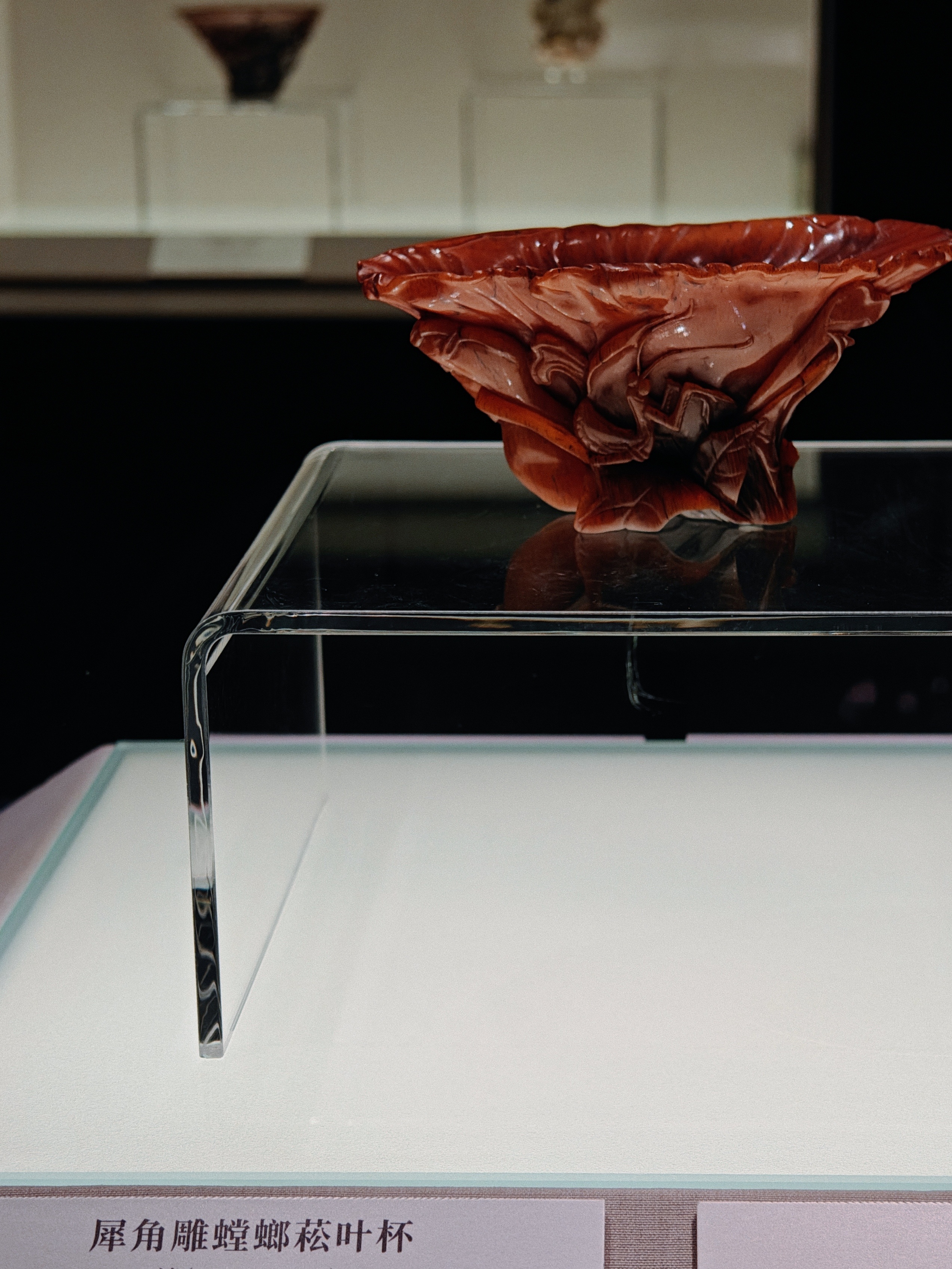 我想，回忆就是人生最美好的藏品。 