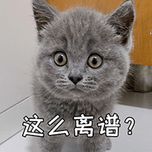 指控4岁男童摸臀为何引爆舆论没看错吧？4岁的小朋友？！也是真敢说啊~被害妄想症吧