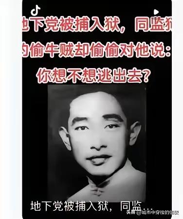 1928年，梅大栋被捕，敌人为了羞辱他，故意把他和偷牛贼关在一起，谁知偷牛贼对梅