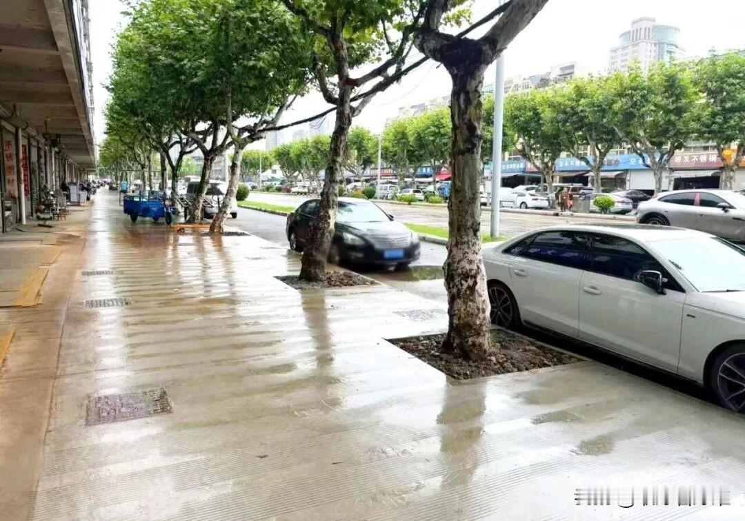 昆山震川西路这段人行道总算不坑了，走路踏实，雨天也不积水

震川西路金谷园到白马
