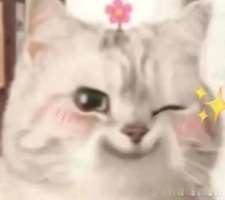 家产今日份表情包更新啦😊好幸福好开心呀🥰 