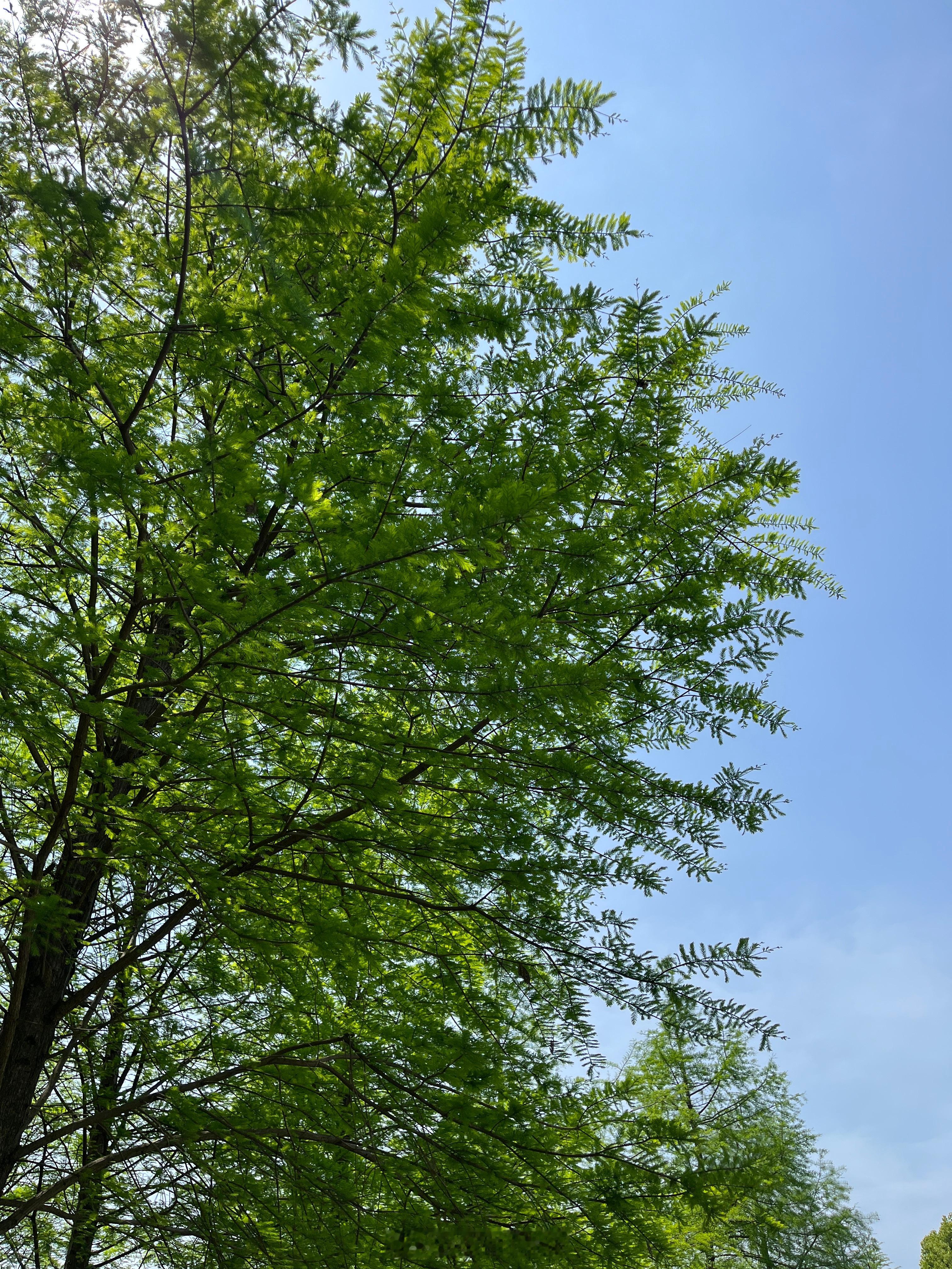 如果你心眼挺好，又有德行，那你一定有福报。如果有福报，却依然发不了财，请不要疑惑