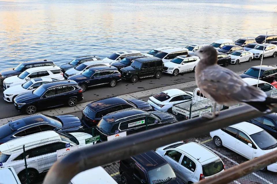 油价一涨，全球二手电车先被抢空了

谁在疯狂扫货，不是金饰也不是美元，是二手电车