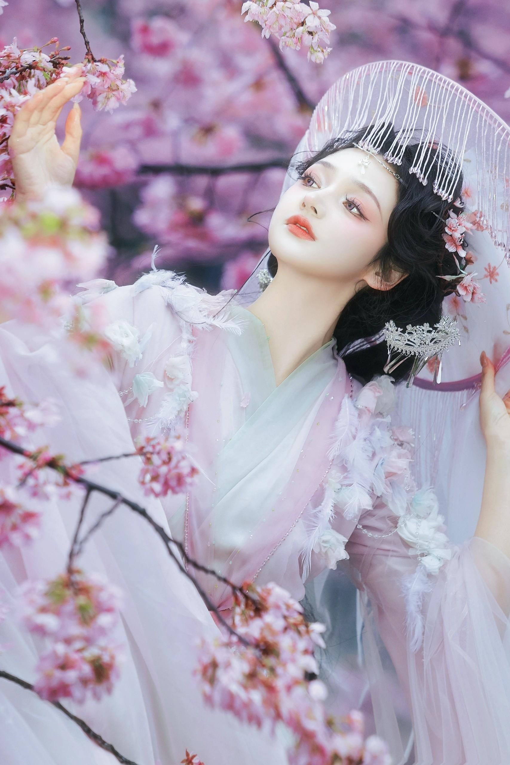 观我旧往，同我仰春。在东湖樱花园拍到的樱花～ 摄/后：我
