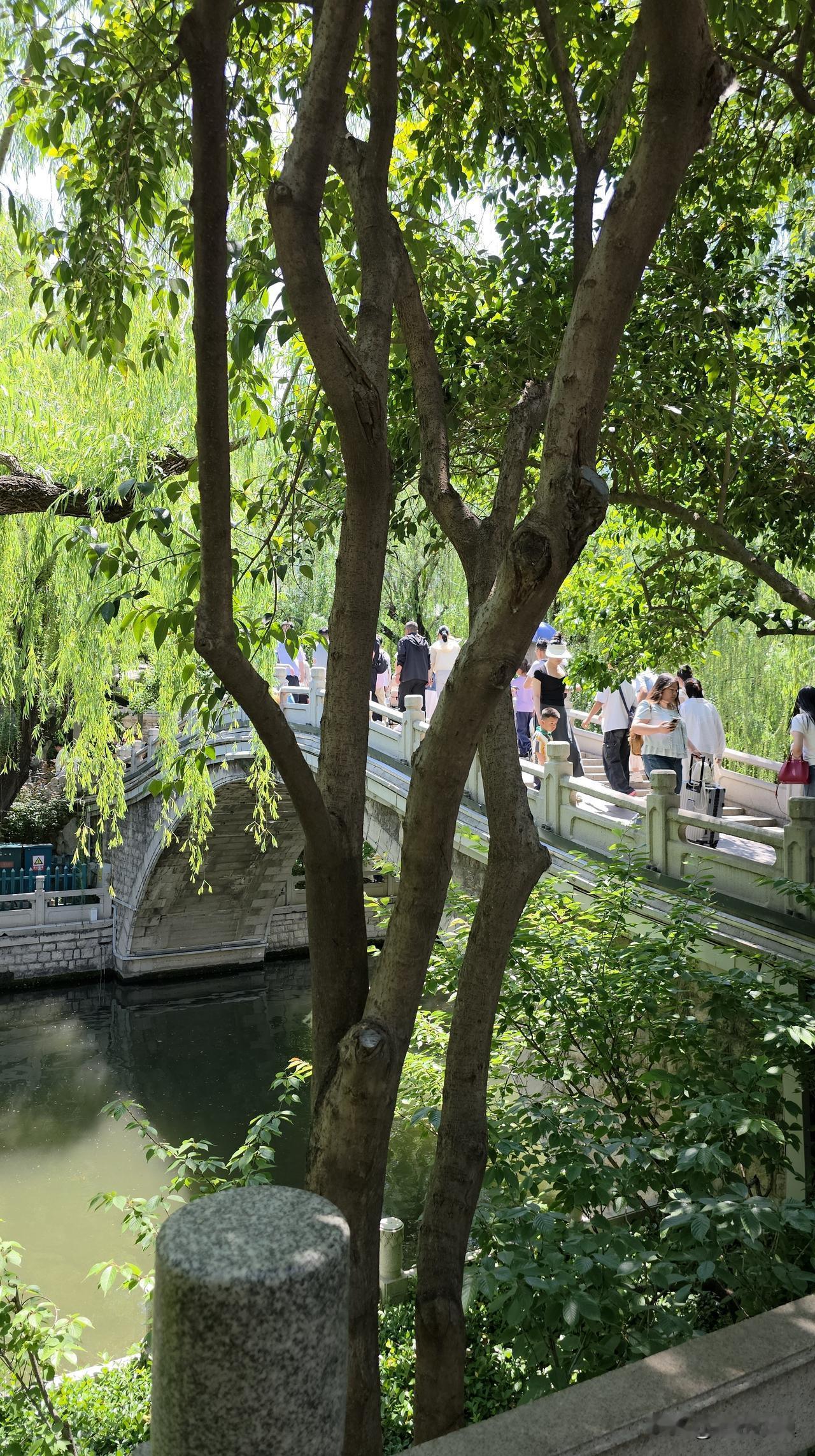 惊险来了！麻烦大了！紧急提醒：济南今晚大风冰雹来袭，家里露台花草千万要当心！
 