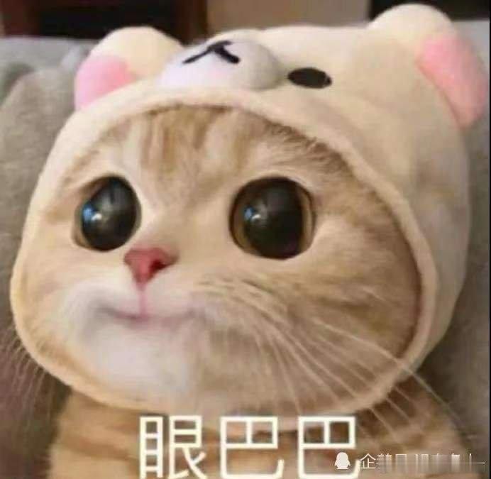 入境游重塑世界眼中的中国两千名海外从业者走进桂林，成龙凭借超高人气圈粉国际友人，