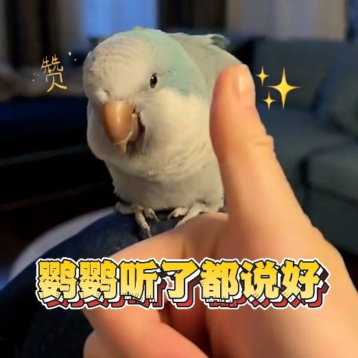 回春丹鲜花拯救我的2024  在这首《鲜花》中，我看到了无数平凡人为了追寻更好的