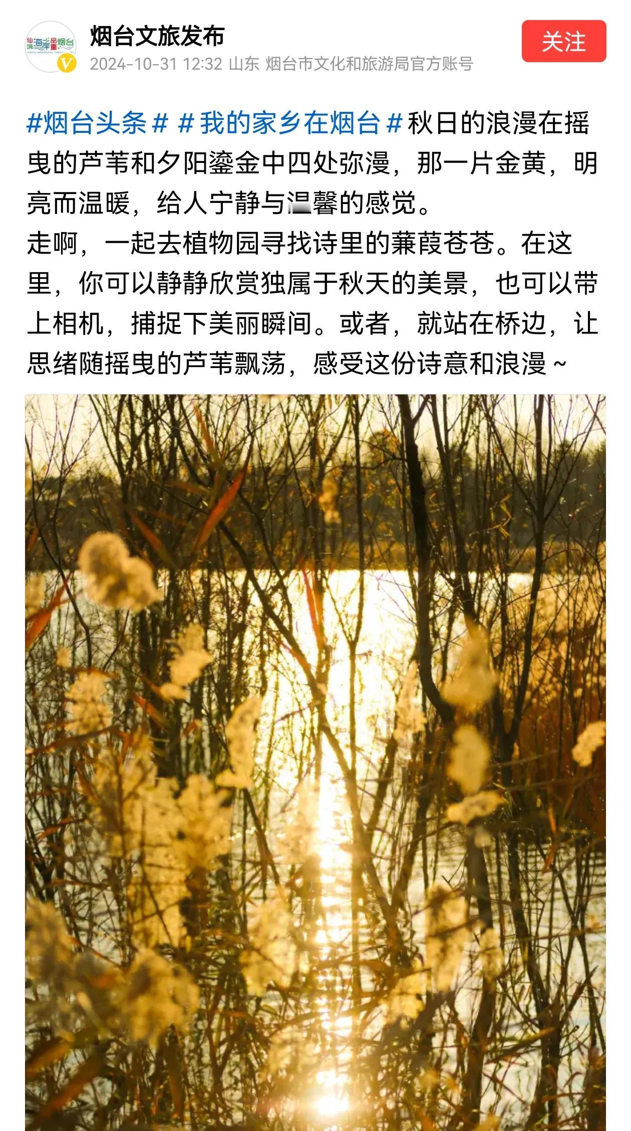 昨天看到烟台文旅发的烟台植物园的帖子，就跑去植物园看了看，真的还是挺不错的，烟台