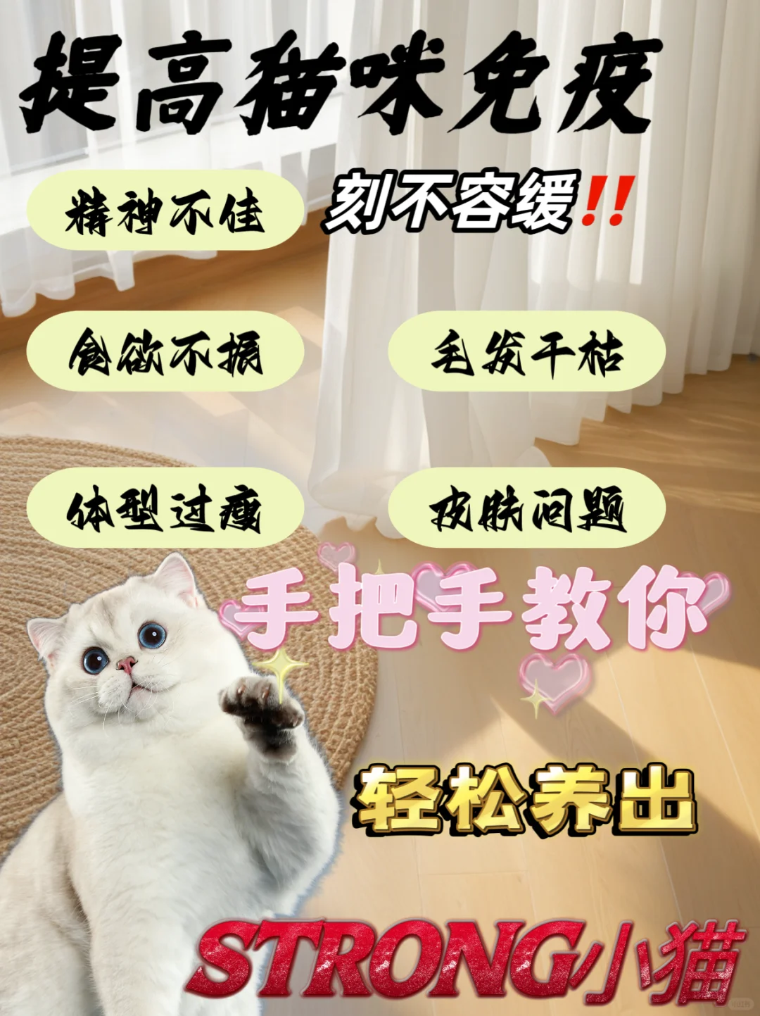 新手抄作业！提髙免yi力势在必行！