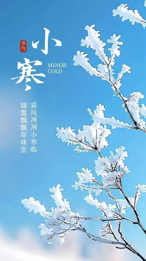 除了文章里的这些，你还知道哪些山东小寒的老谚语？快分享出来涨涨知识！