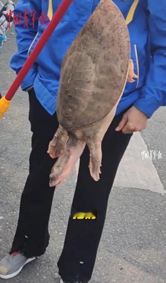 10月27日，江苏南京，一男子路过医院时，看到有大姐在不远处卖“甲鱼”，男子就过