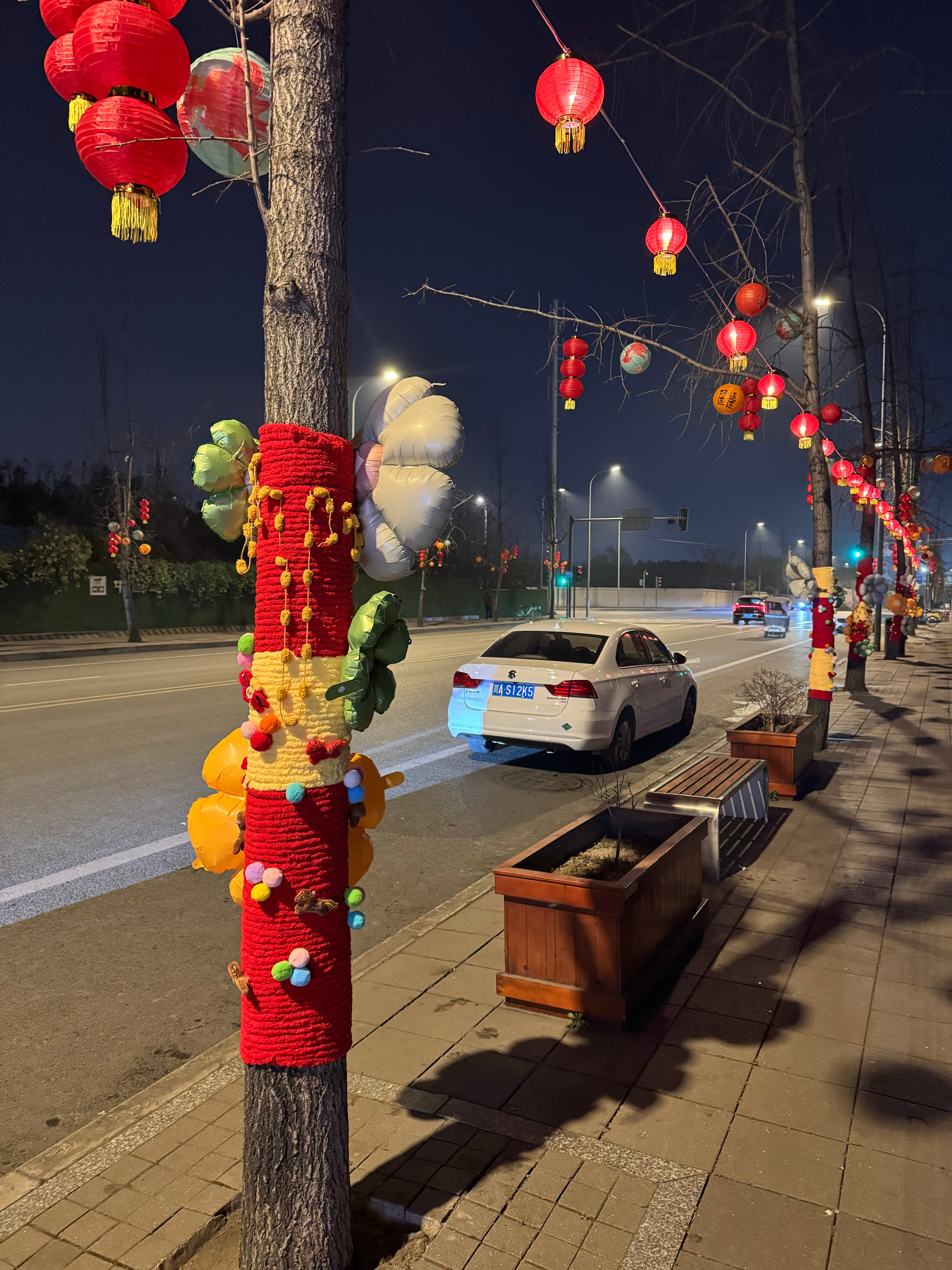 街边的春节氛围已经整起来了这个猫咪应该很喜欢川川逛吃日常