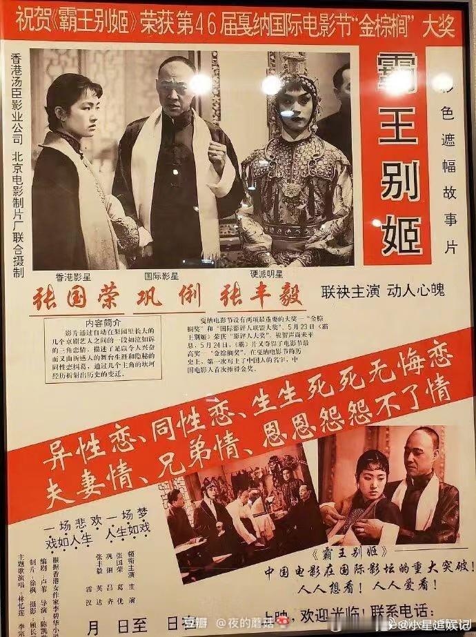 中国文化在以一种很新的方式在传播王彦桐亮相威尼斯华语电影交流会不端着，不迎合，就