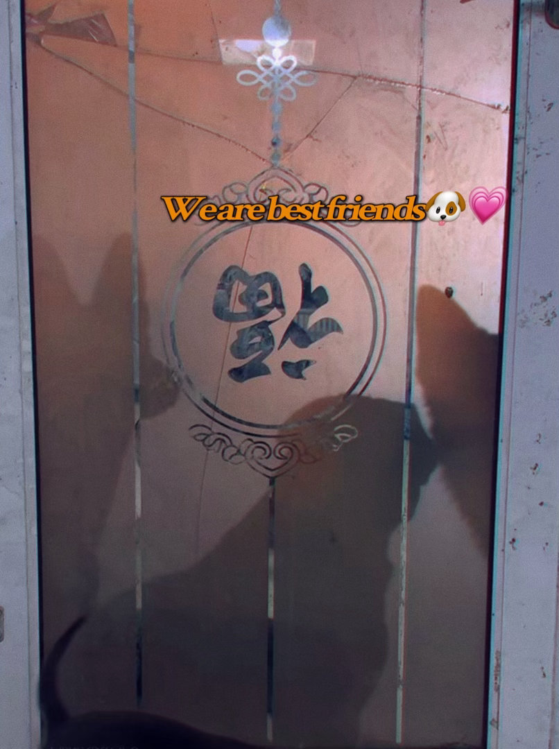世界破破爛爛小狗縫縫補補 