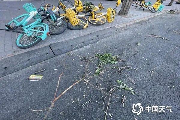 20分钟内，12个省拉响警报！2026年5月的天气，比所有人想的都疯狂极端天气的