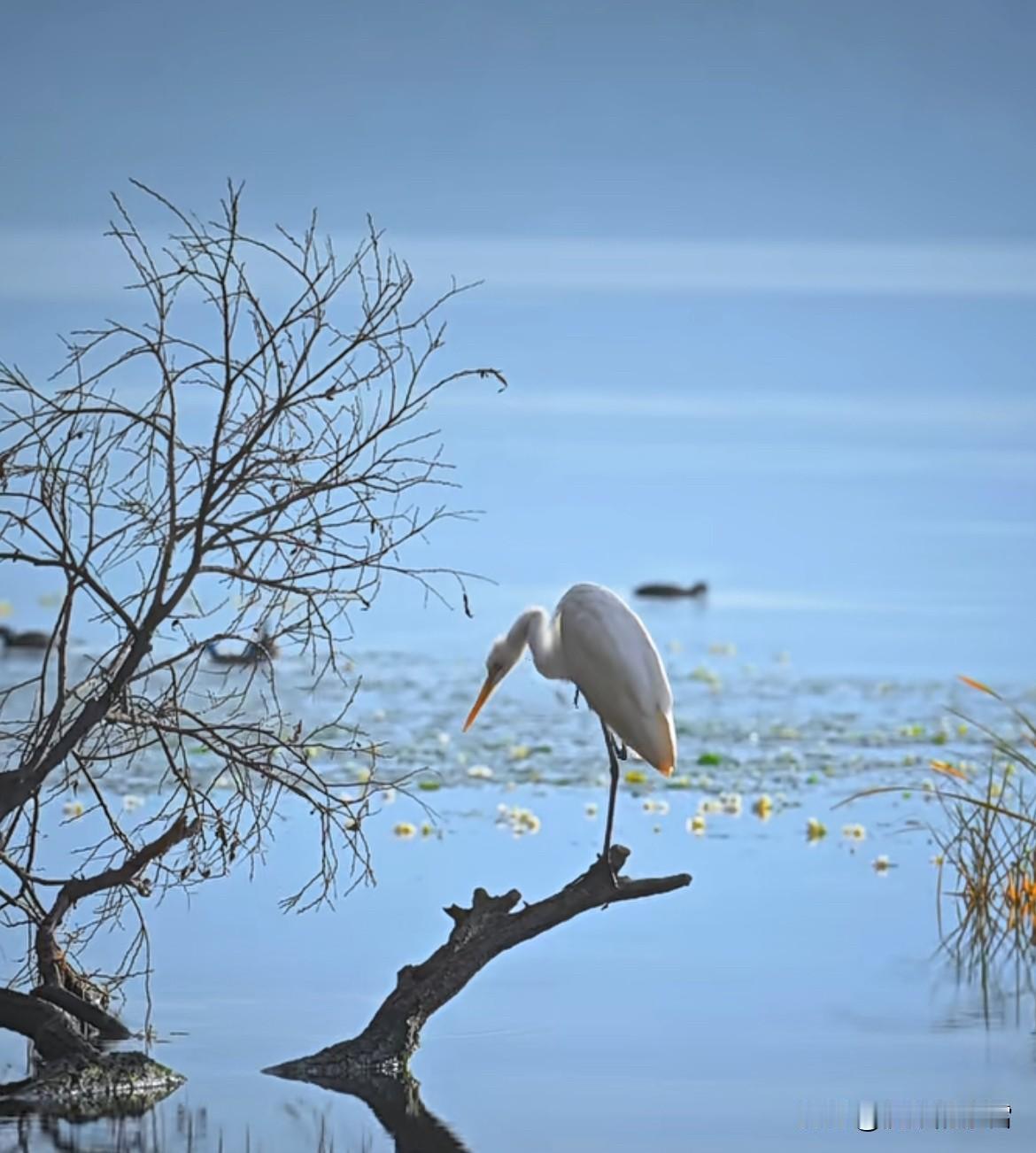 心有光芒，步履铿锵，今天也请带着热爱出发～