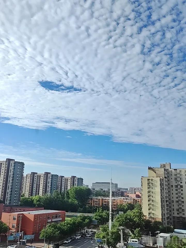 处理信访举报的一般流程是什么?信访举报是群众监督党员干部、监察对象的重要渠道，也