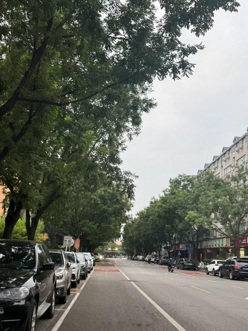 上海有梧桐的街道常被我们称赞 叫有调性北京很多胡同其实也好看 也有绿荫 比如我家
