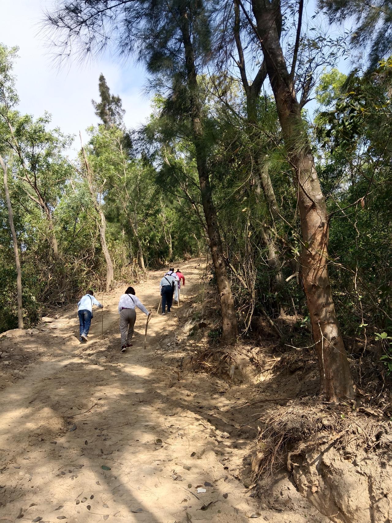 春日生活打卡季春天真美啊