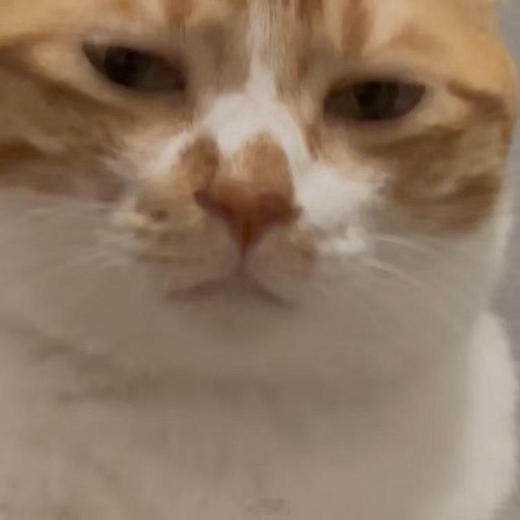 我明天绝对不多吃了