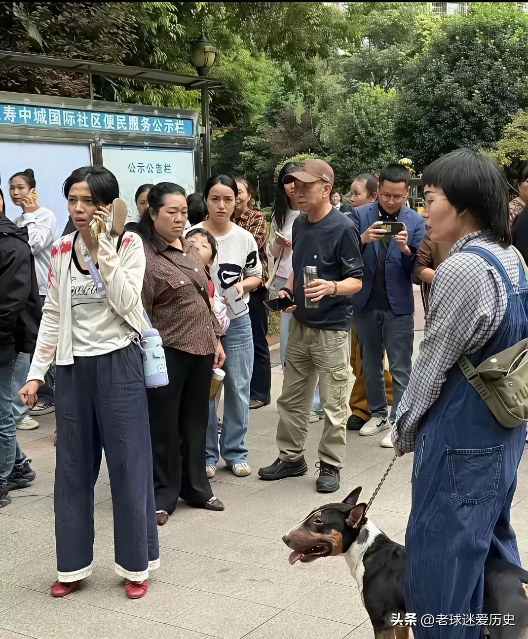 这个女人和她的牛头梗孩子长的挺像啊！
你孩子伤人了，你就得负责。
恶犬伤人，必须