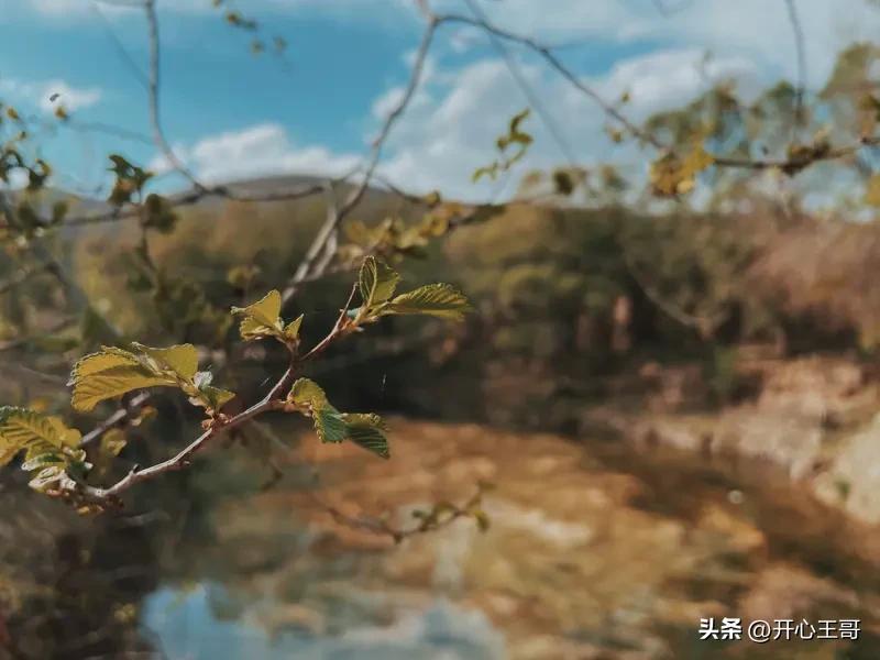 随手拍1. 奔赴山野之间，晚风裹着草木清香，每一帧自然景致都治愈人心🍃
感受大
