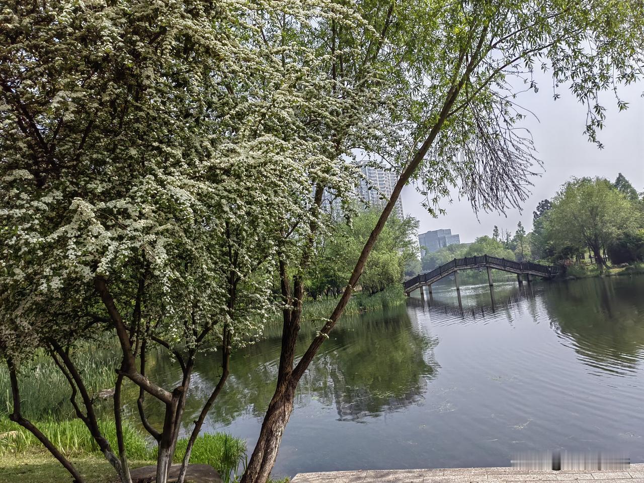 雨季的储备
长沙今天终于出太阳了，
降了几天温，
下了几天雨，
前段时间把洗好的