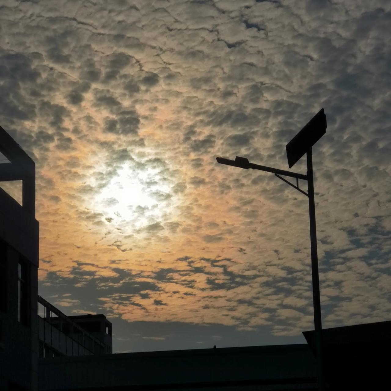 又又又又又地震了，
和鱼鳞云有关系吗？
麻烦专业人士指点一二…
