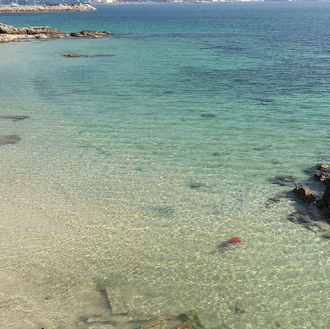 清澈的海水，没有一丝浑浊。