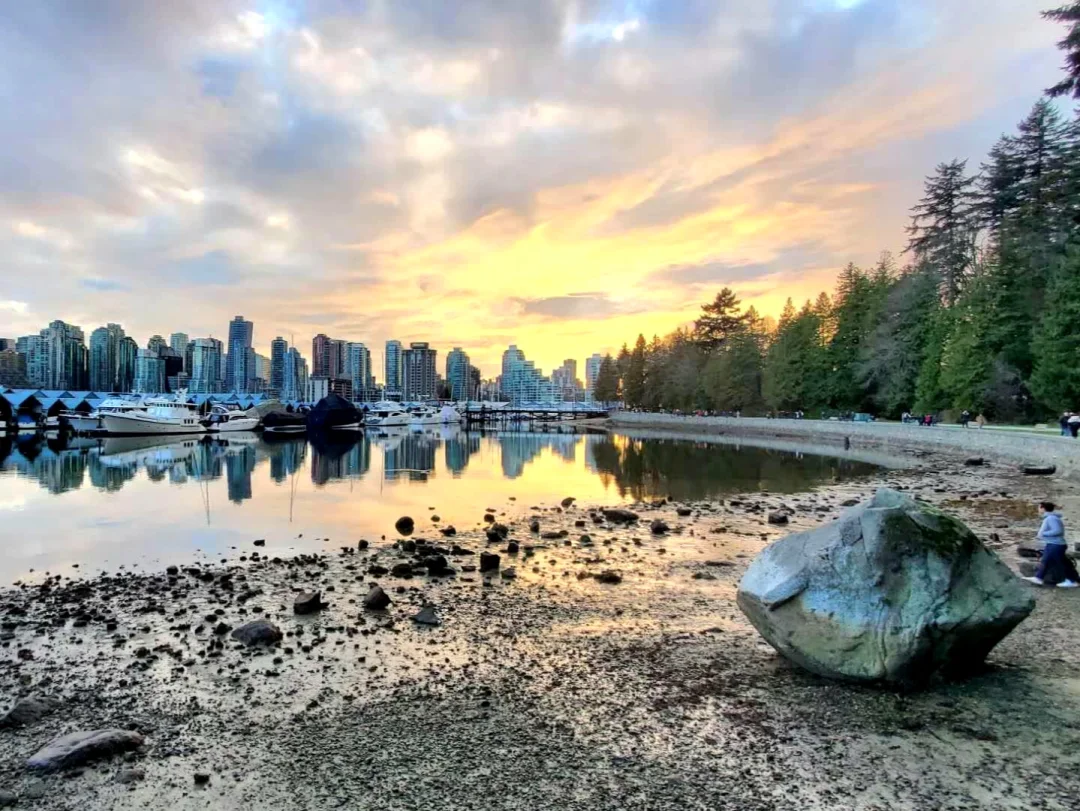 古言🔹️2024我的古言TOP