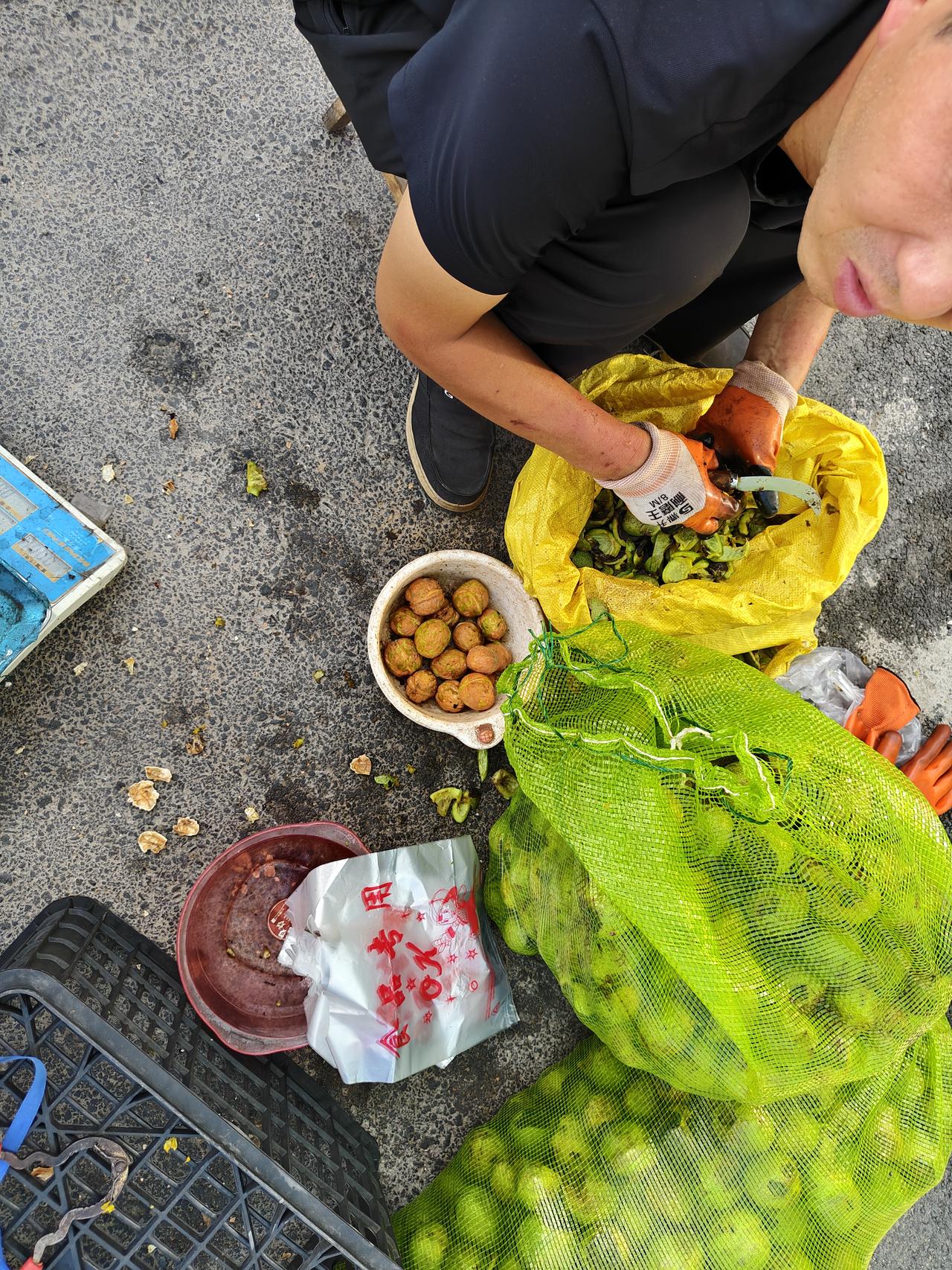 来来来，在运城盐湖西街早市，新鲜的核桃卖8元一斤，我尝了一口，甜津津的。

鲜核