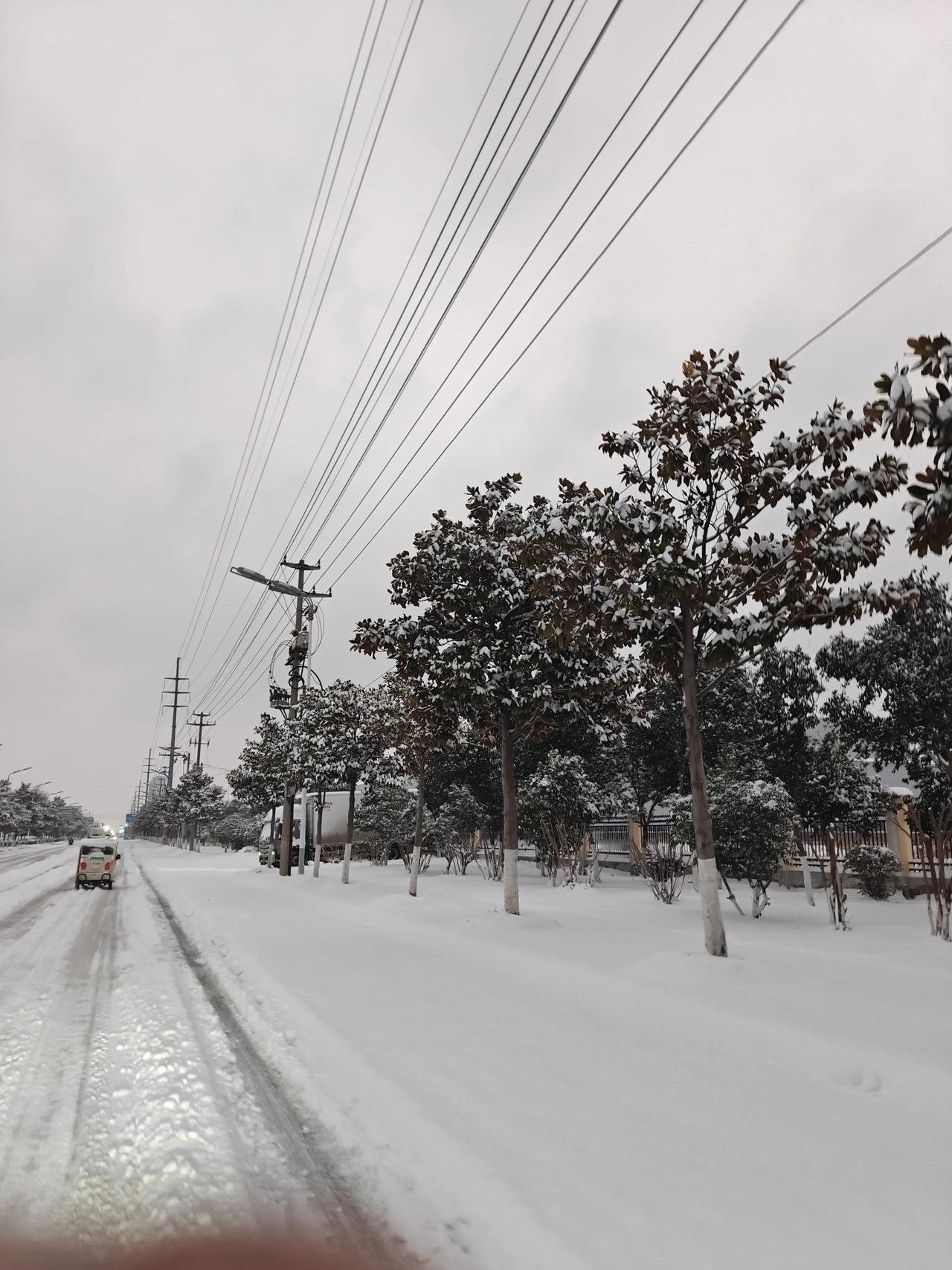 冬日生活打卡季