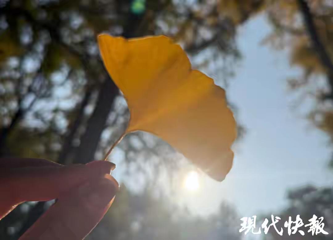 南京今日最高气温为19℃到20℃
        12月10日，南京天气温暖舒适