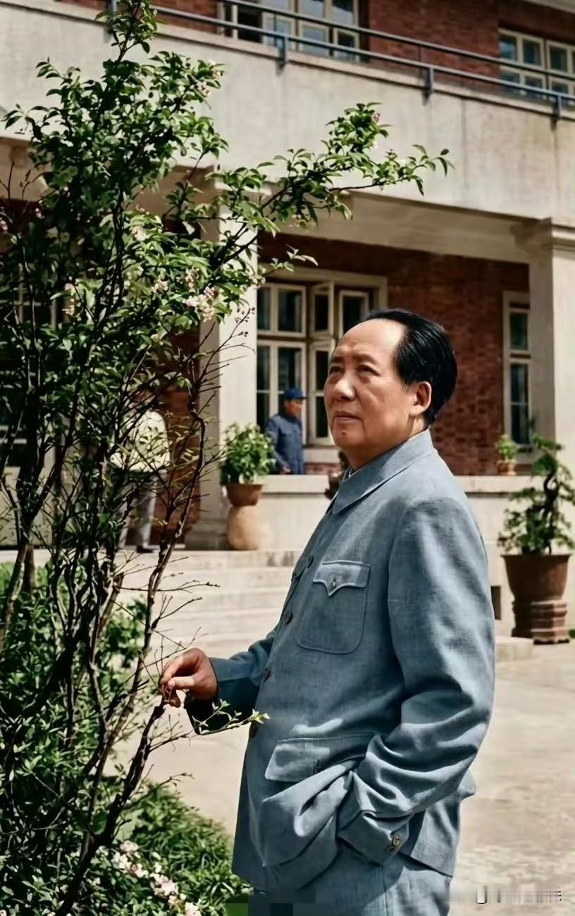毛主席在桂花树下