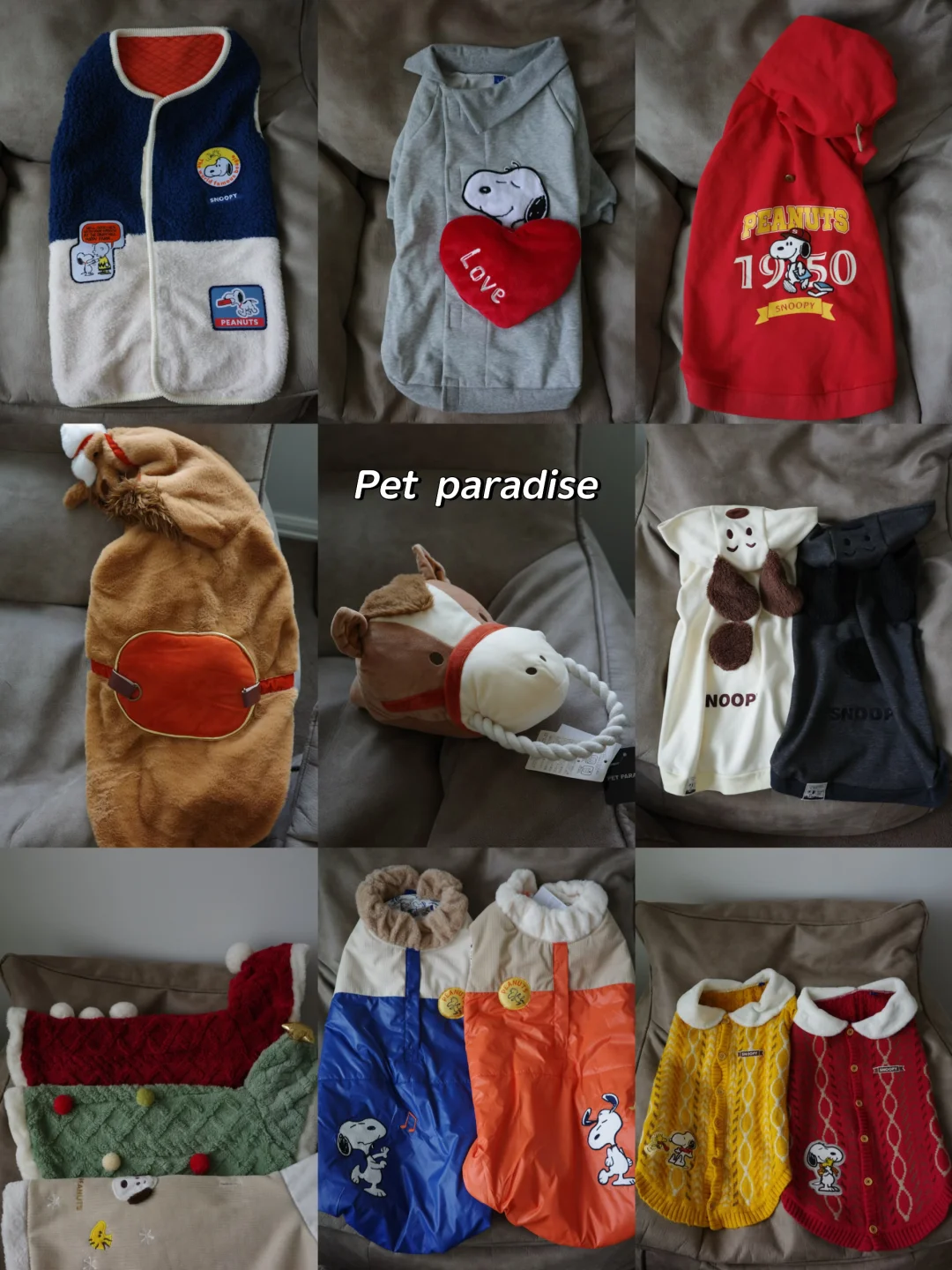 L码小狗 Pet Paradise 秋冬季新衣服🛍️